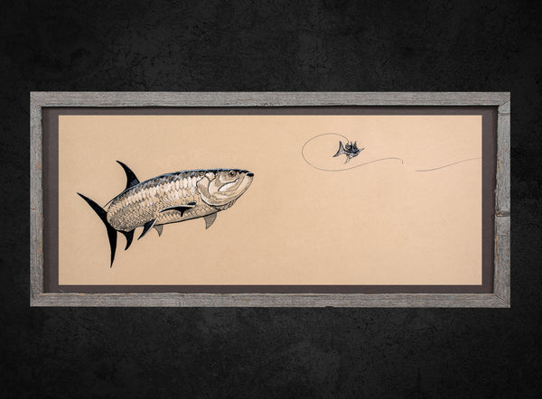 Tarpon Chasing Mullet