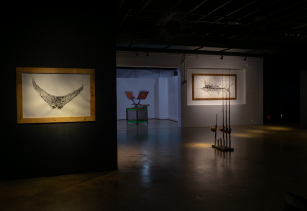 452lb Swordfish Tail