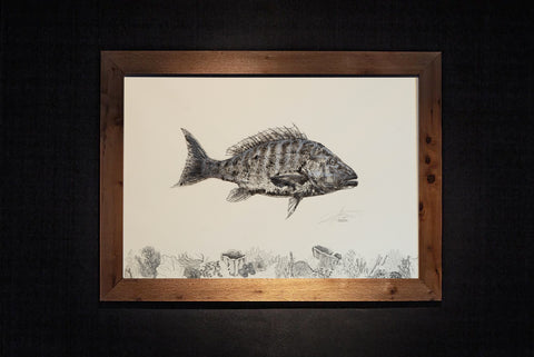 Mutton Snapper Gyotaku w/ Coral(Gianna Riccardi)