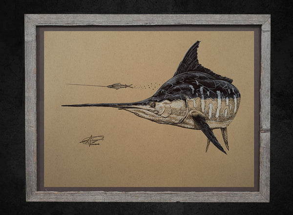 Blue Marlin Chasing a Joe Shute