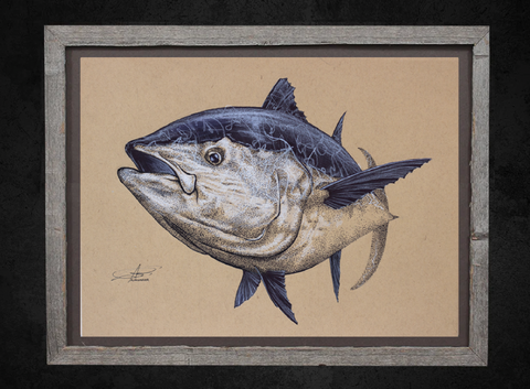 Giant Bluefin Tuna