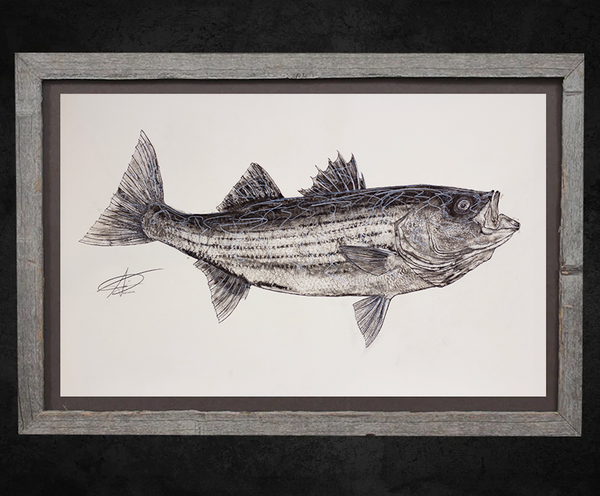 Striped Bass Gyotaku