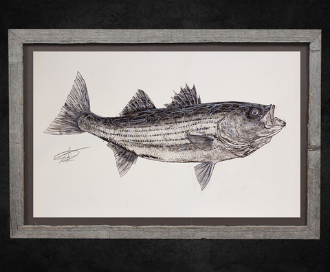 Striped Bass Gyotaku